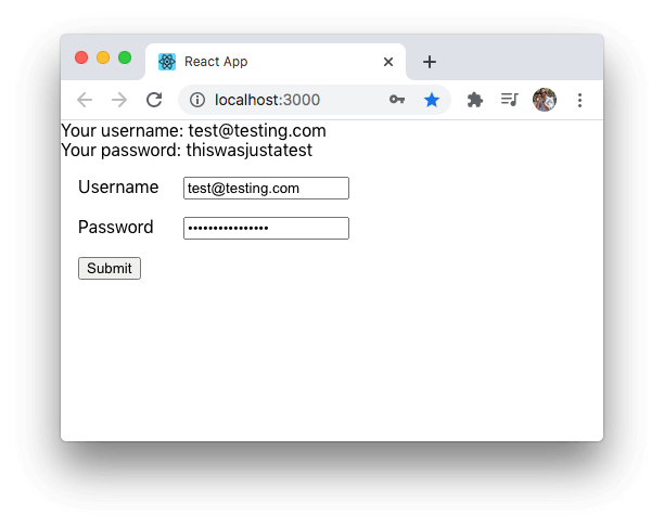 Our React login form for testing